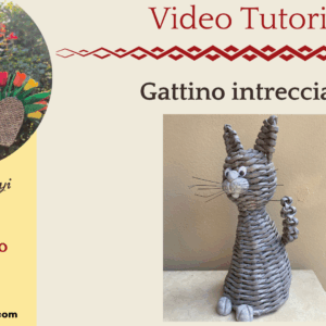 Gattino intrecciato