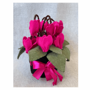 Kit materiale con istruzioni Ciclamino fuxia