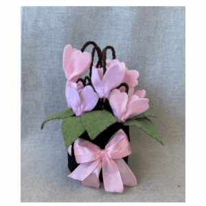 Kit materiale con istruzioni Ciclamino fuxia rosa