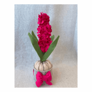 Kit materiale con istruzioni Giacinto fuxia