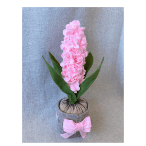 Kit materiale con istruzioni Giacinto rosa