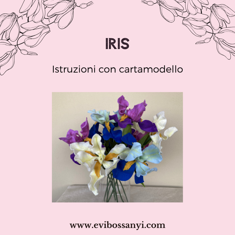 Iris