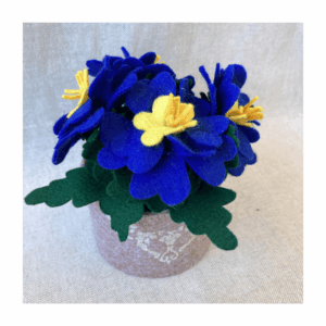 Kit materiale con istruzioni Primule blu