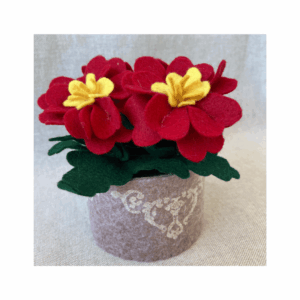 Kit materiale con istruzioni Primule rosse