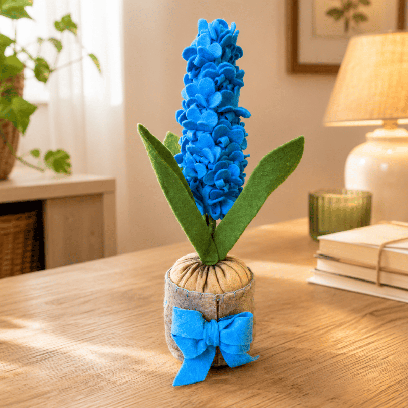 Kit materiale con istruzioni Giacinto celeste